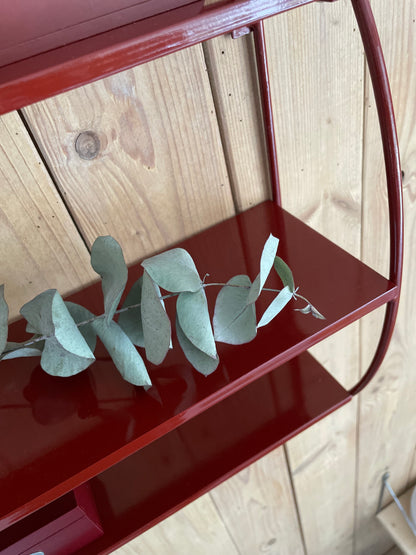 Kleines rotes Regal